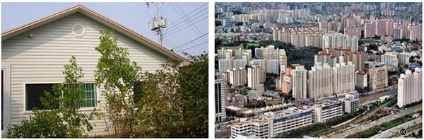 단독주택과 아파트