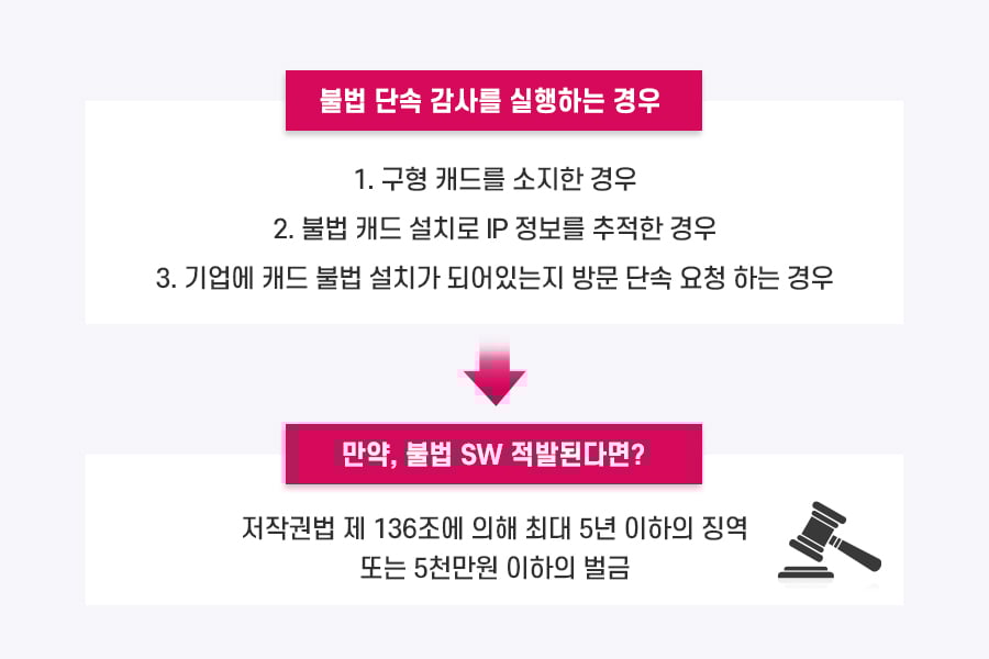 sw불법단속