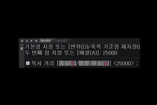 복사 거리 지정
