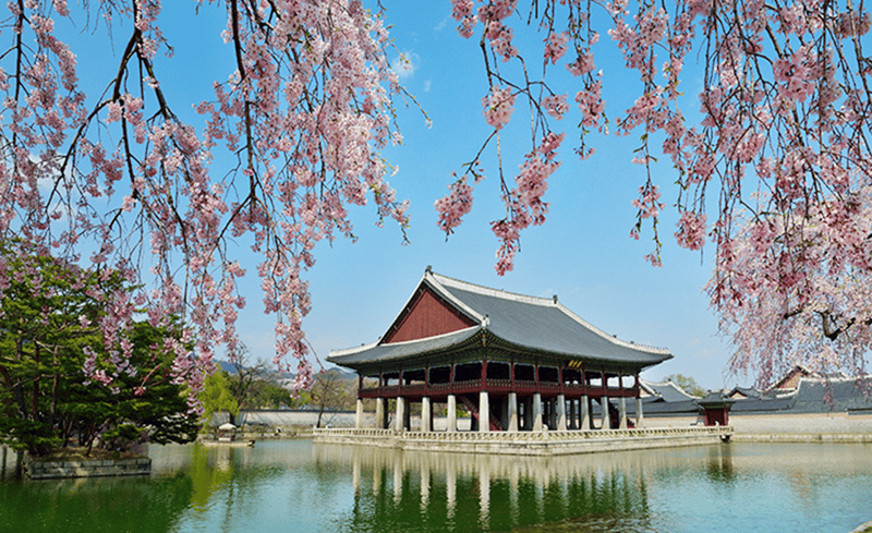 경회루의 봄 전경