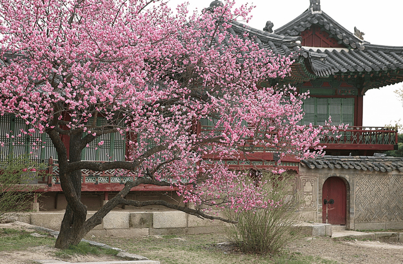 승화루
