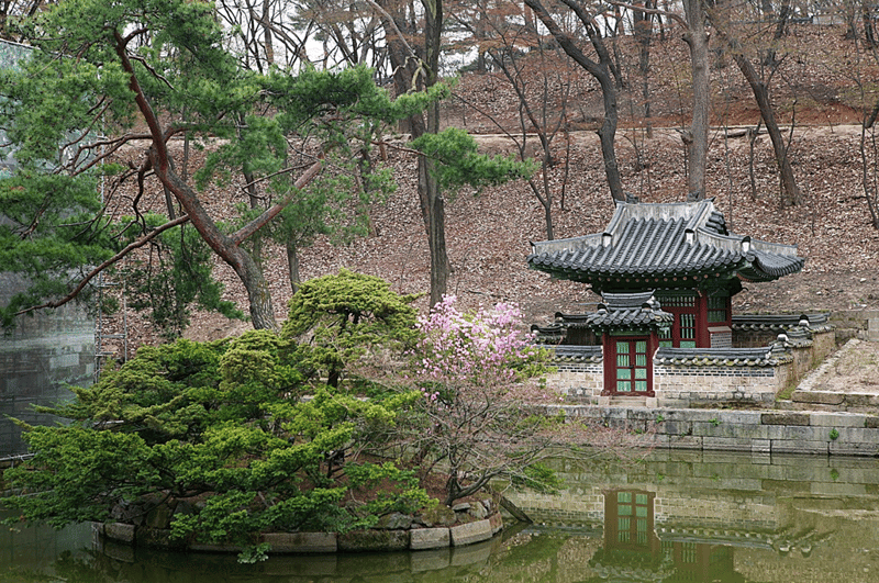 비원 전경