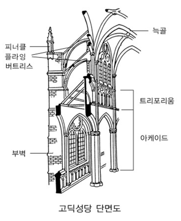 부벽을 특징으로 가지고 있는 고딕성당 단면도