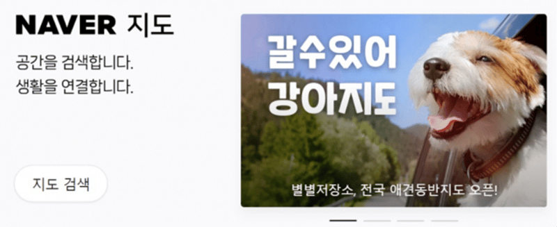 갈수있어 강아지도