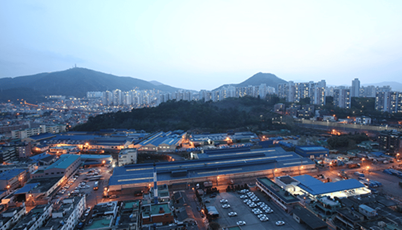 2008년 수영공장 전경