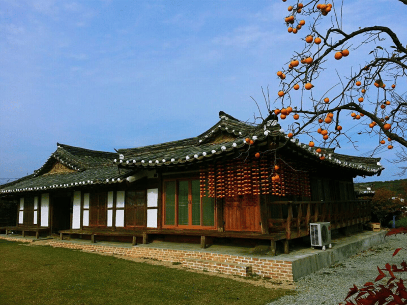 처마에 곶감을 메단 가을 풍경